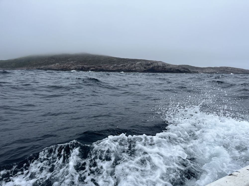 Photograph by Болдырева Ольга