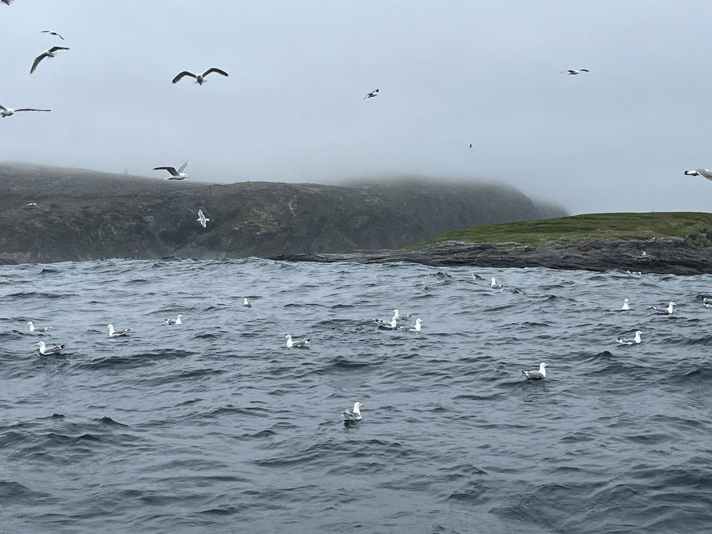 Photograph by Болдырева Ольга