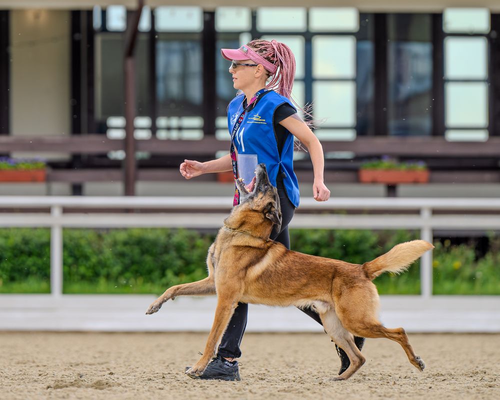 Photograph by Сергей Жиркевич