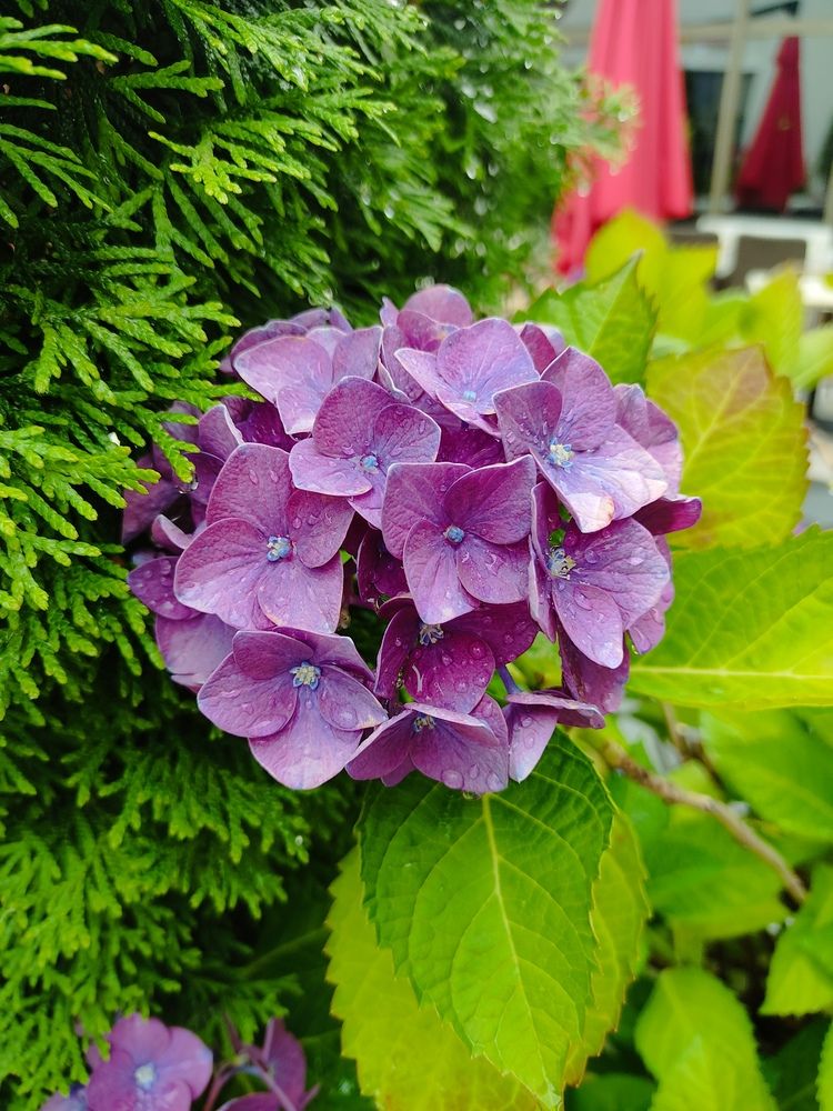 Photograph by Наталья Билай