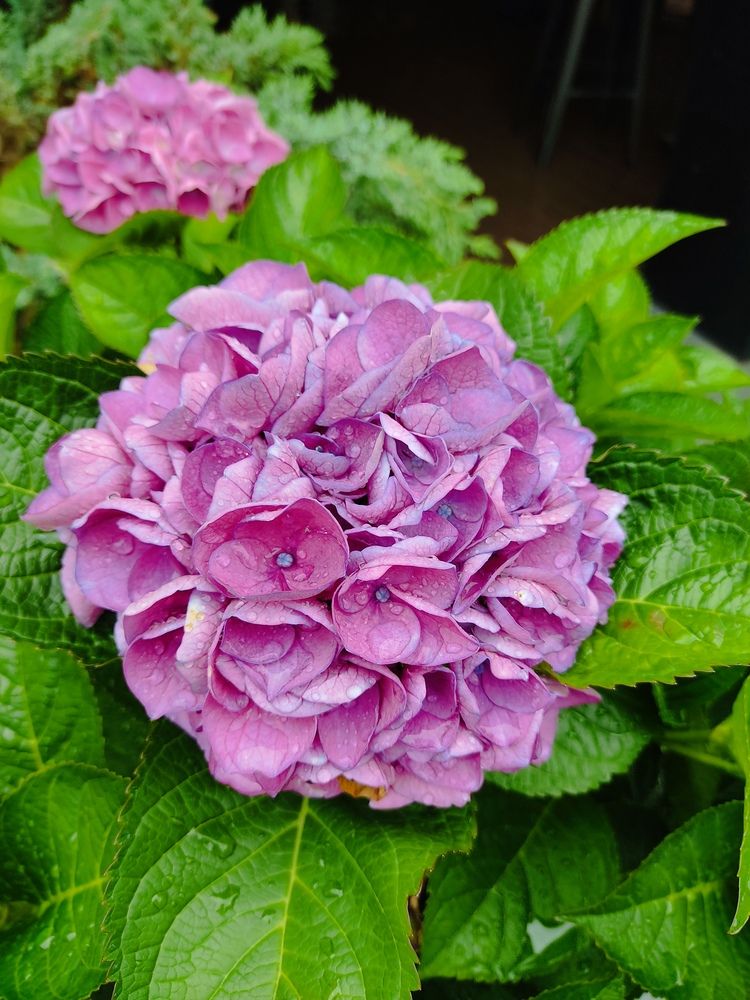 Photograph by Наталья Билай