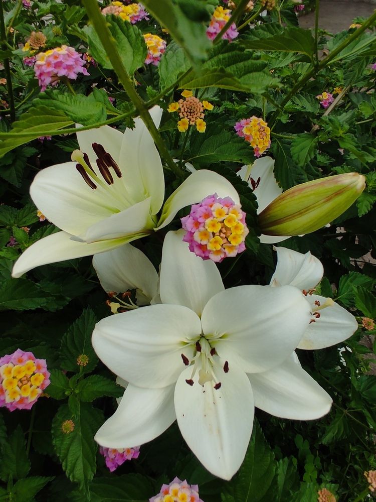 Photograph by Наталья Билай