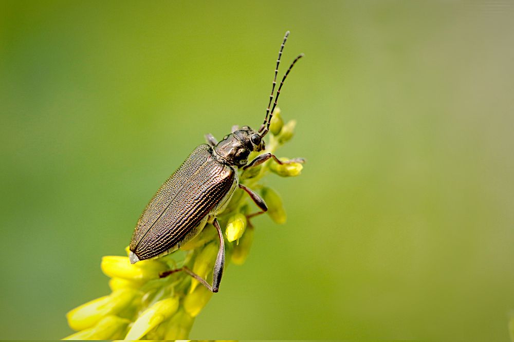 Photograph by Шруб (Беляева) Татьяна