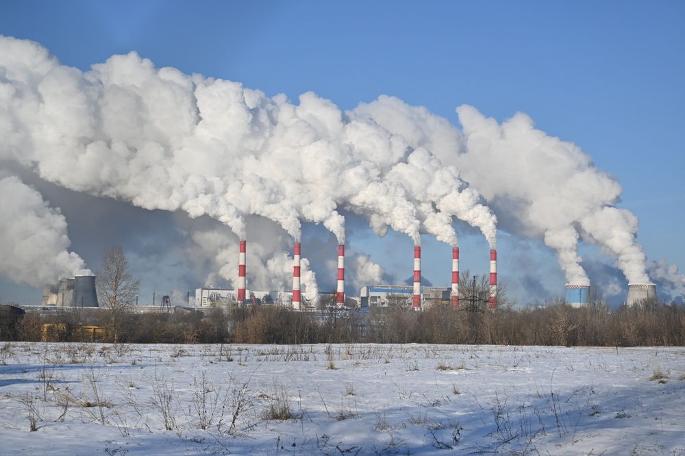 Фотография автора IRINA FILIPPOVA