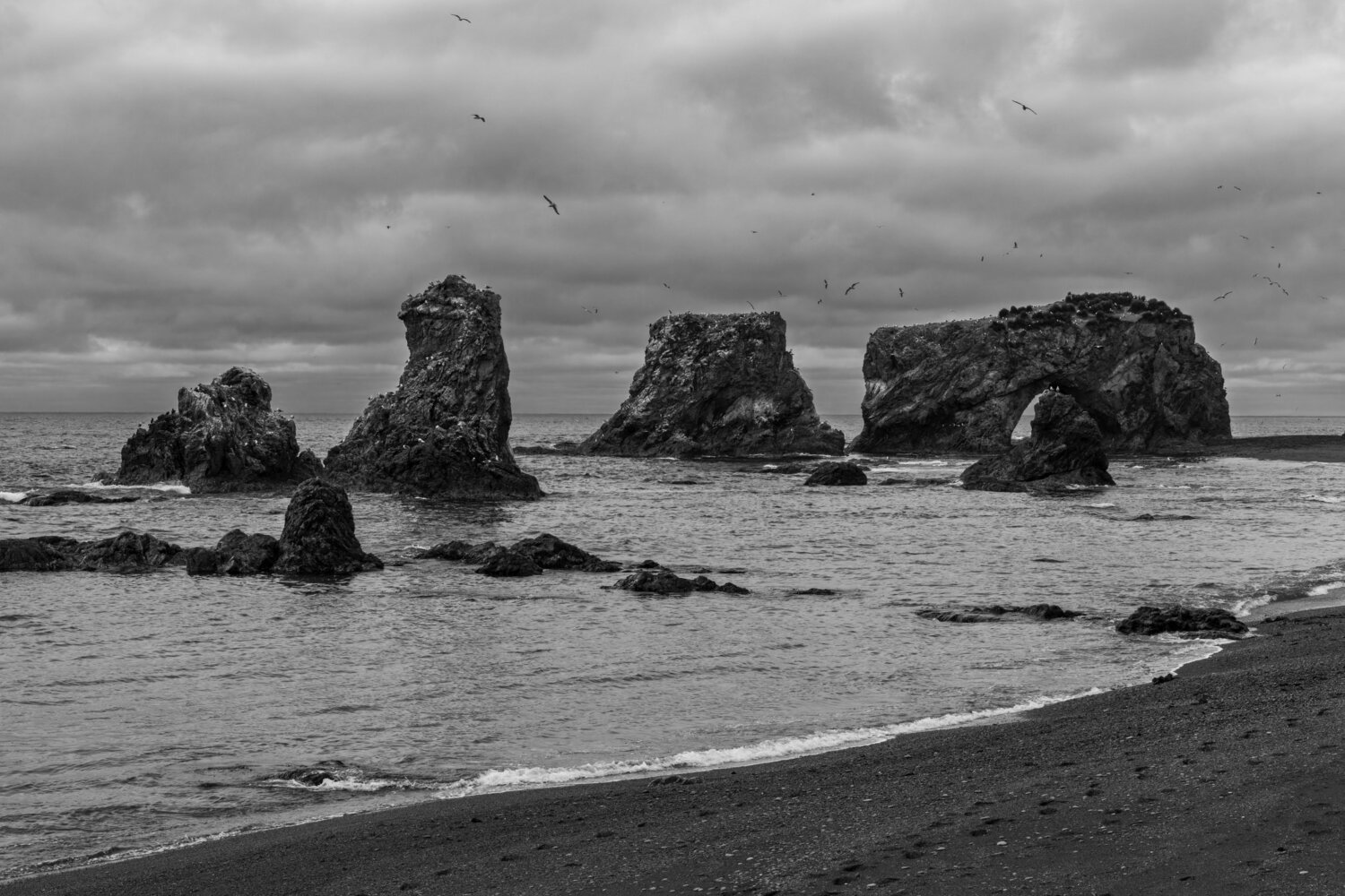 Photo #12407097