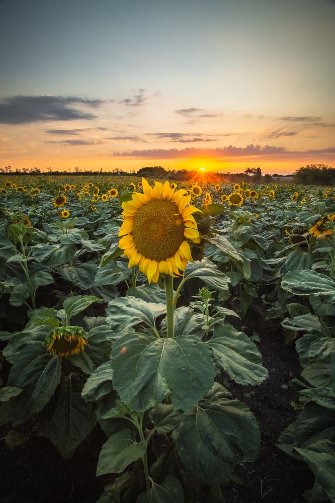 Photograph by Филипп Бабенко