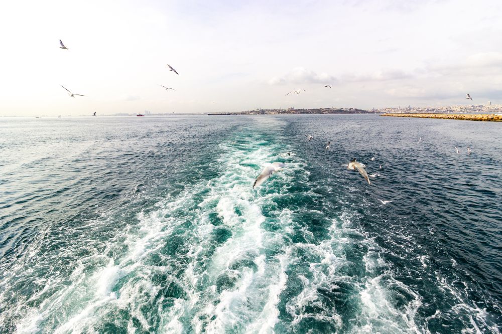 Photograph by Роман Якута