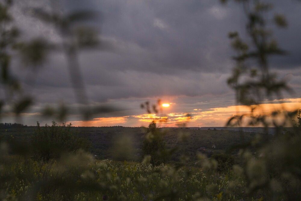 Photograph by Мария Бобылёва