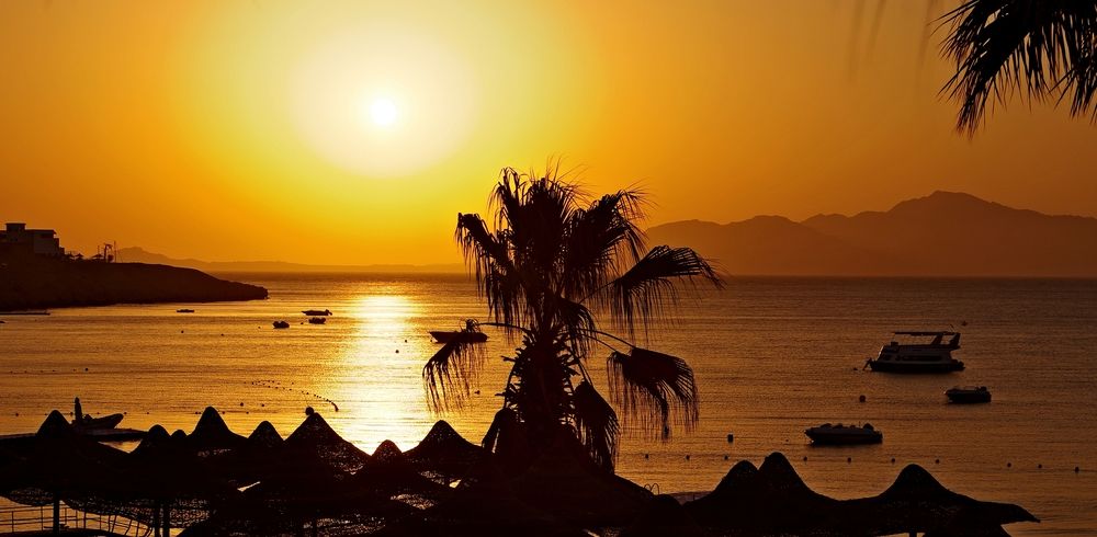 Photograph by Артём Быхалов