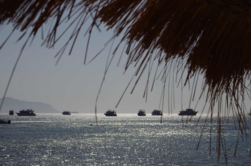 Photograph by Артём Быхалов