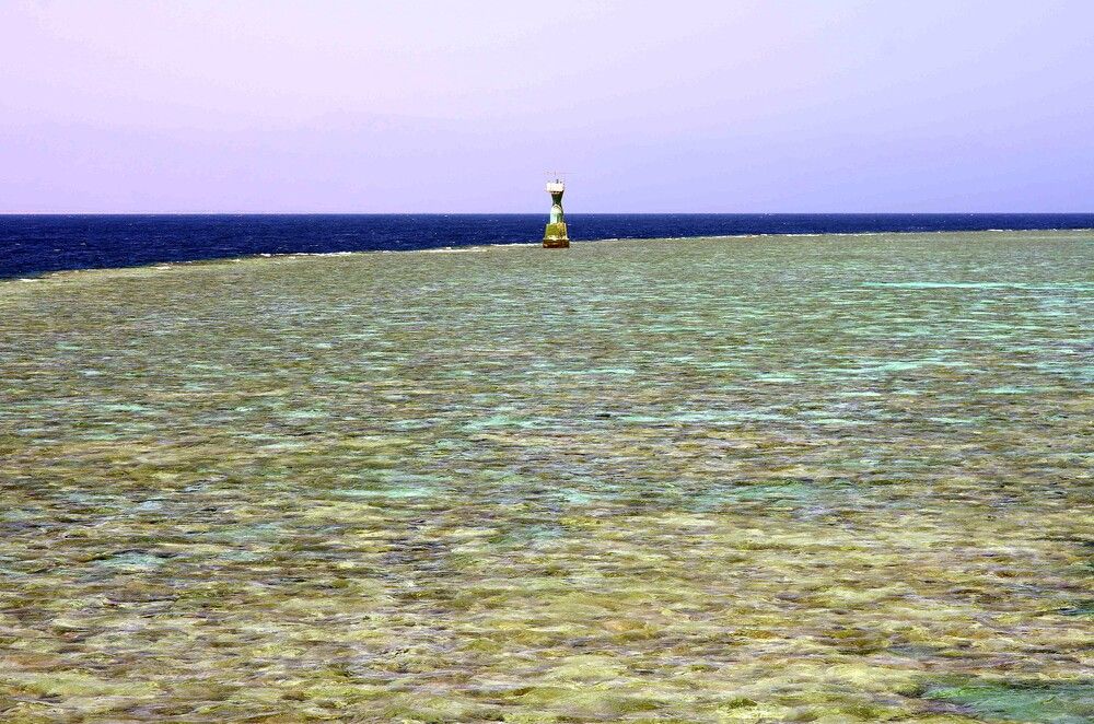 Photograph by Артём Быхалов