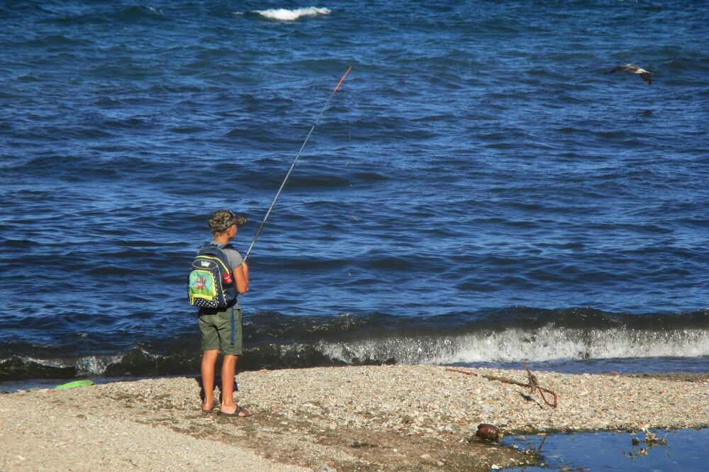 Photograph by Ольга Березовская