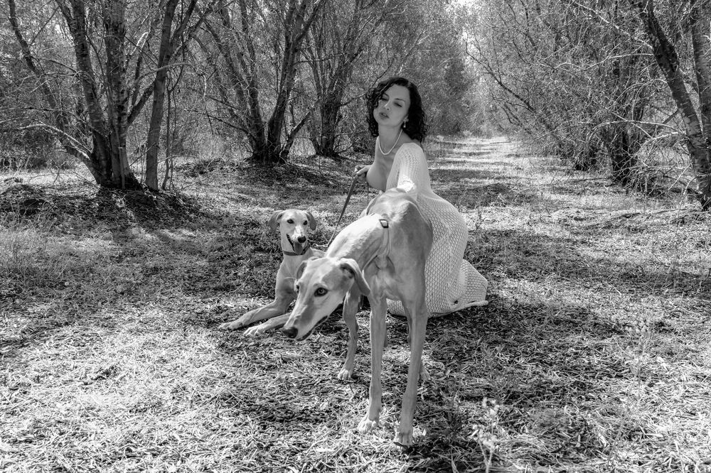 Фотография автора Dmitry