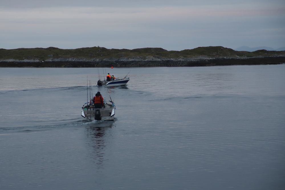 Фотография автора Uljana Kuchar