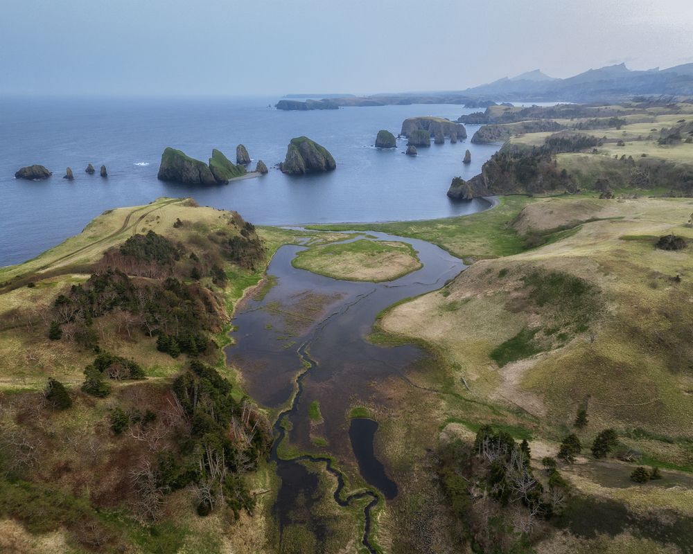 Photograph by Гусева Елена