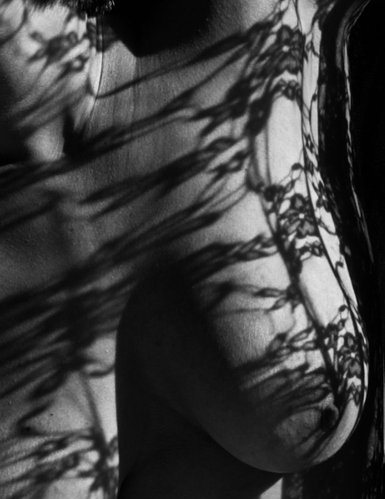 Photograph by Jelena Kintero