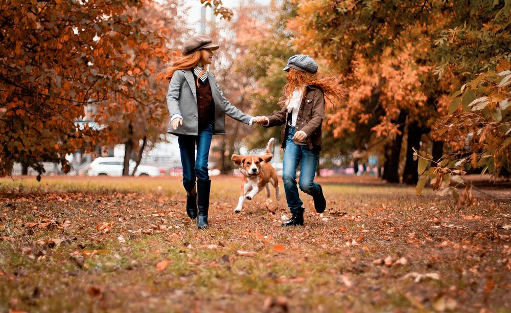 Photograph by Елена Аленская