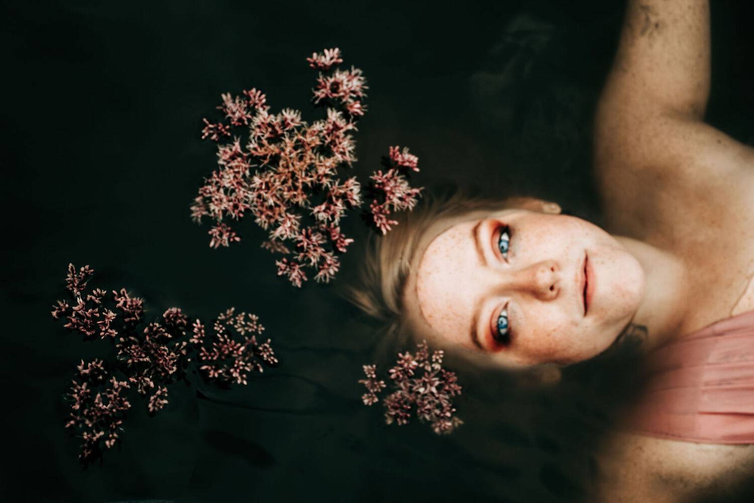 Photo #12407619