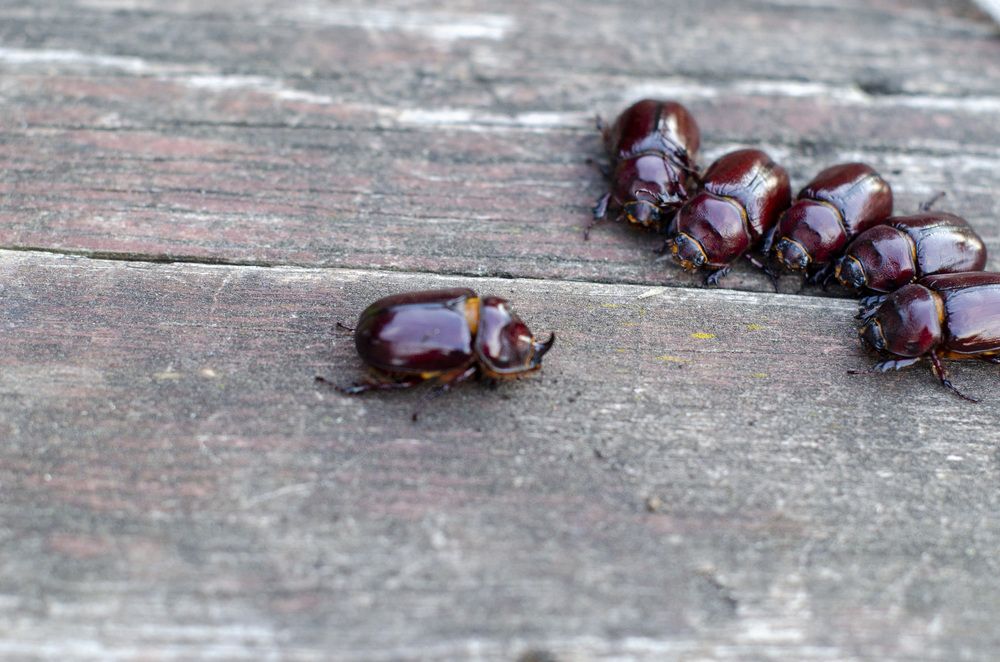 Photograph by Светлана Кудянова