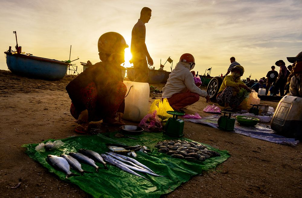 Photograph by Алексей Окунеев