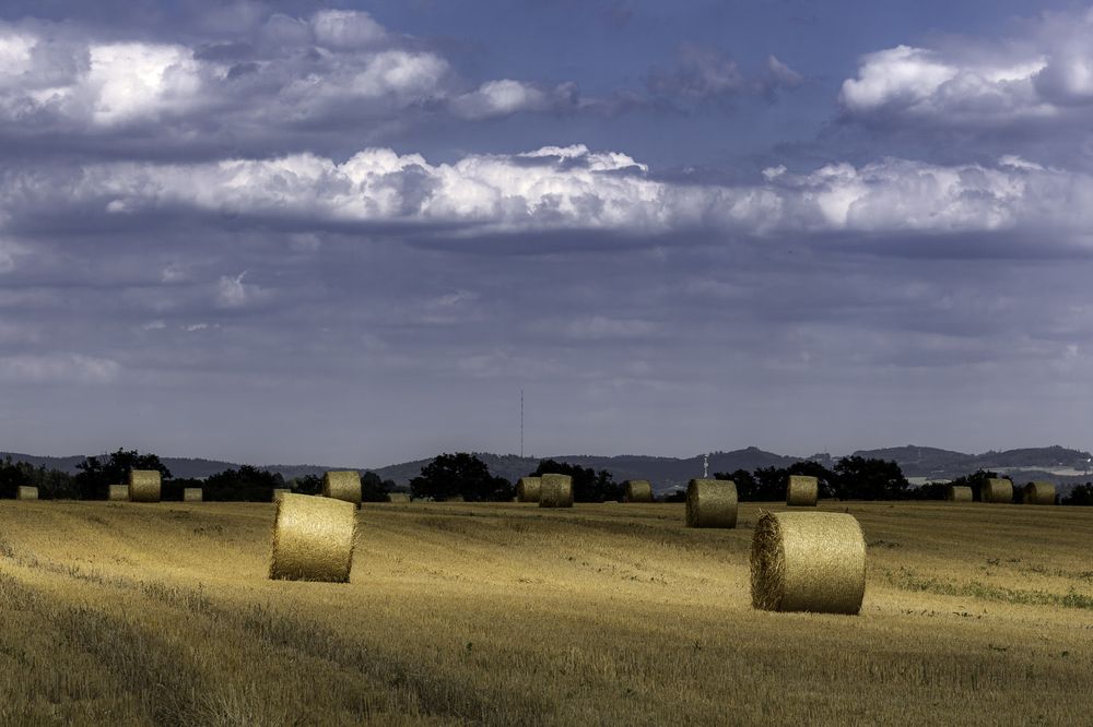 Photograph by Elena Mogilevich