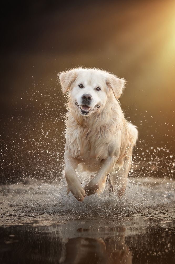 Photograph by Евгения Костусева