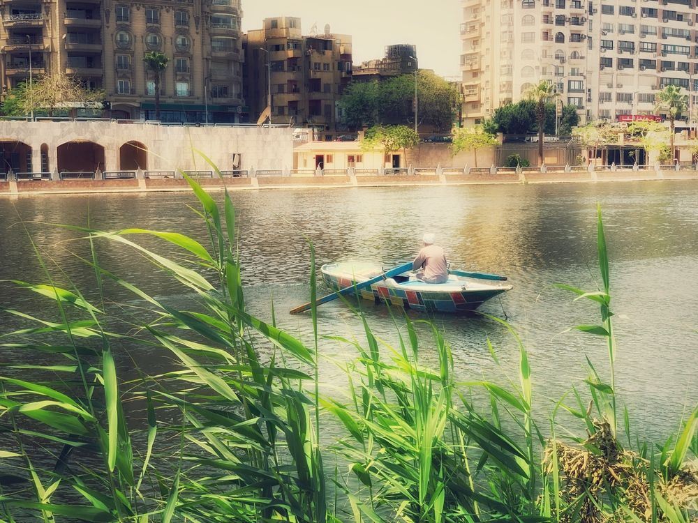 Photograph by Basma rashwan