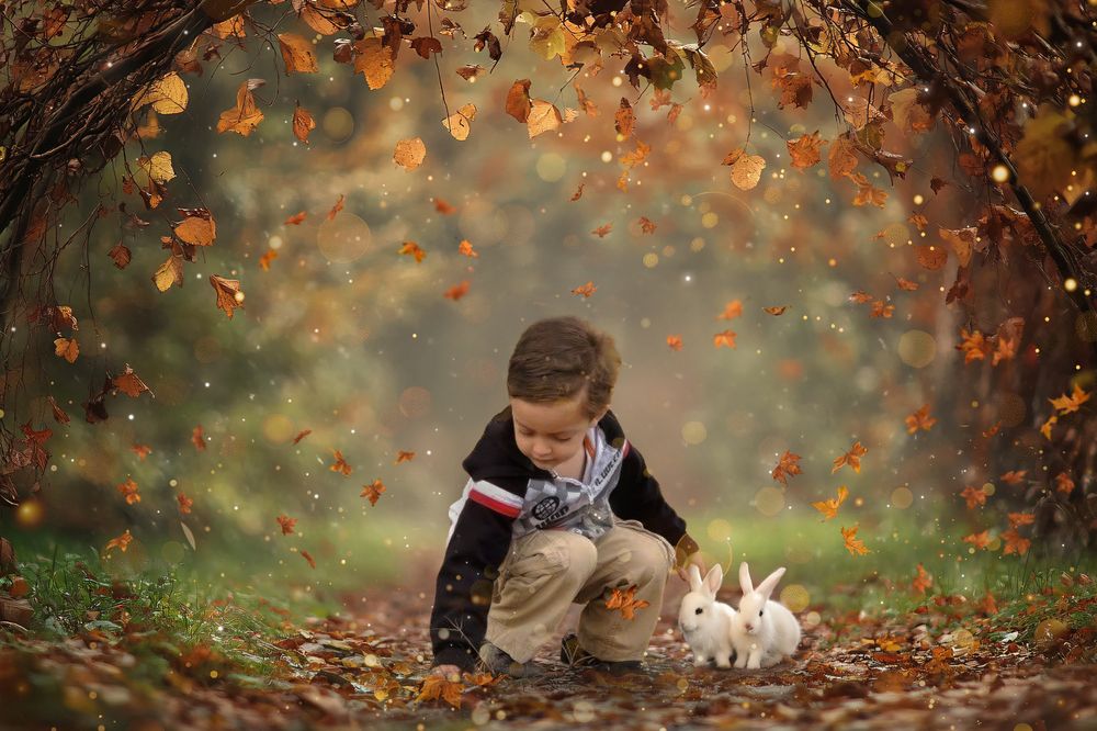 Susurros de otoño
