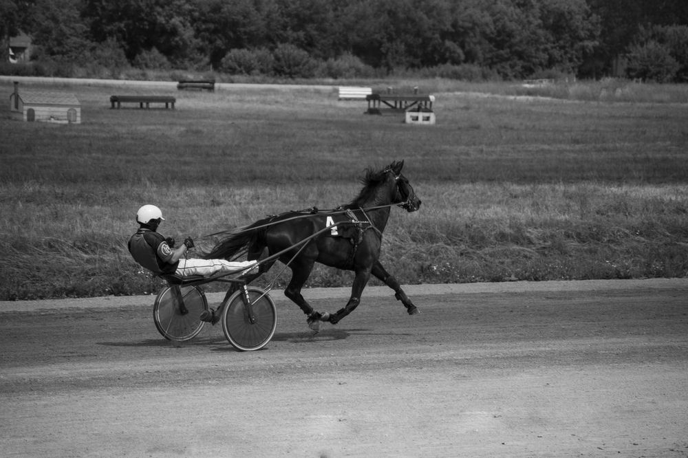 Photograph by Вера Волкова