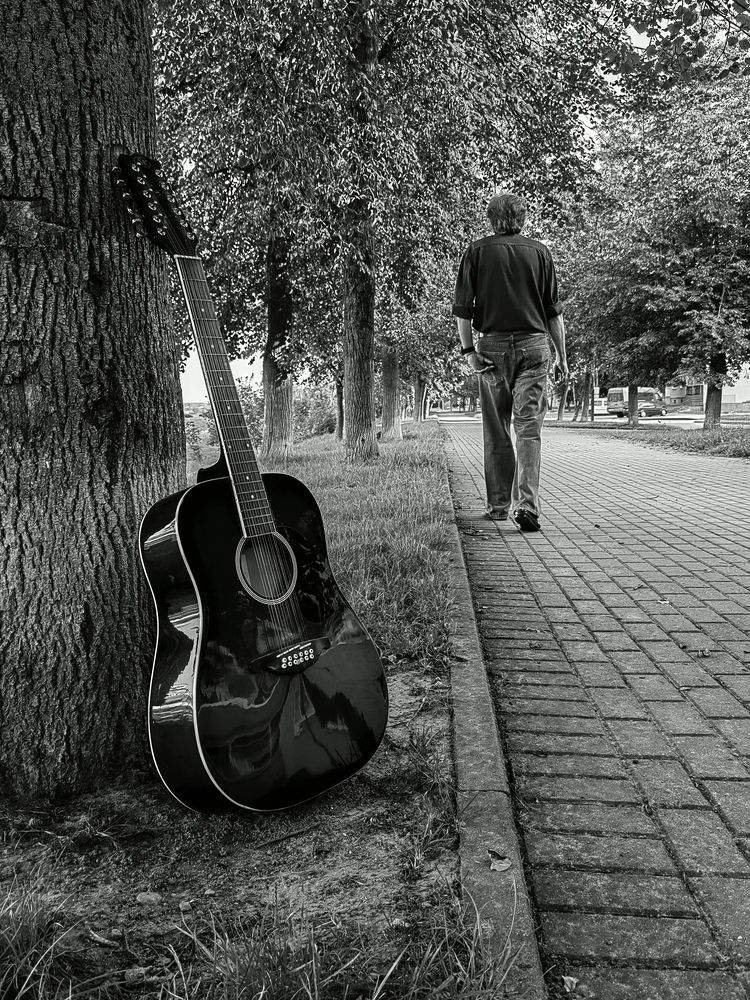 Photo #12408061