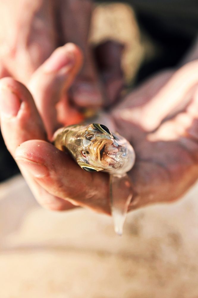 Photograph by Дарья