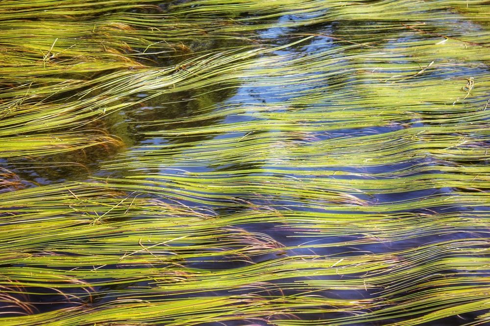 Photograph by Дарья