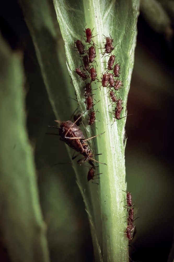 Photograph by Сергей Назаредский