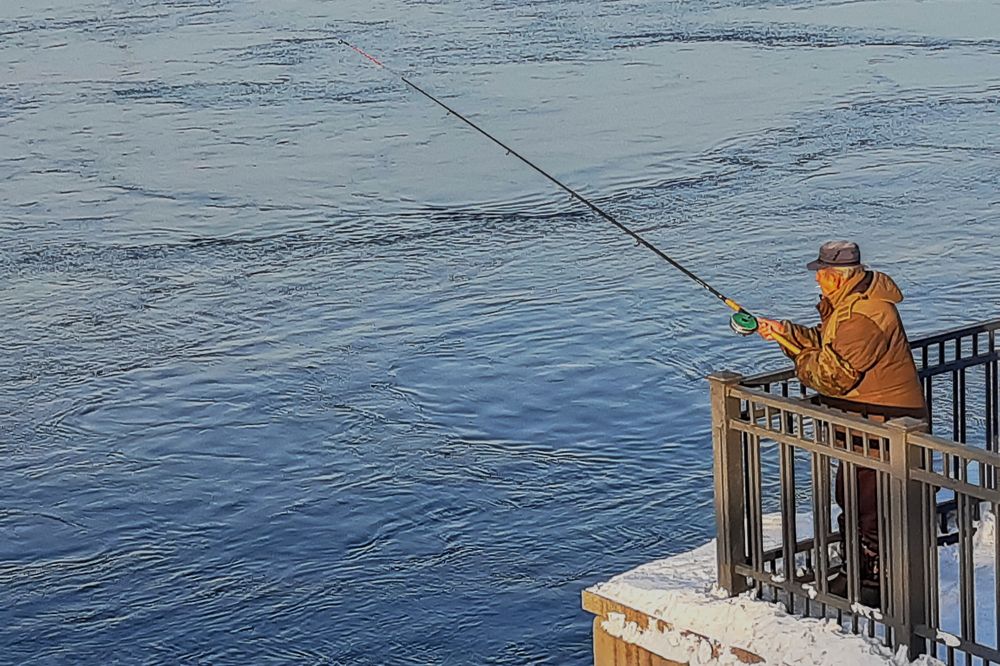 Фотография автора Наталья Решетник