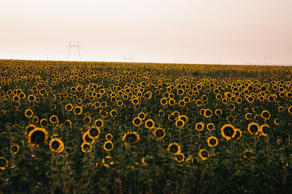 Photograph by Тимур Зенин