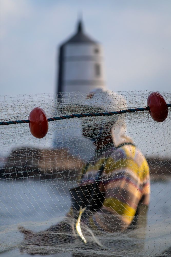 Photograph by Ayman Fawzy