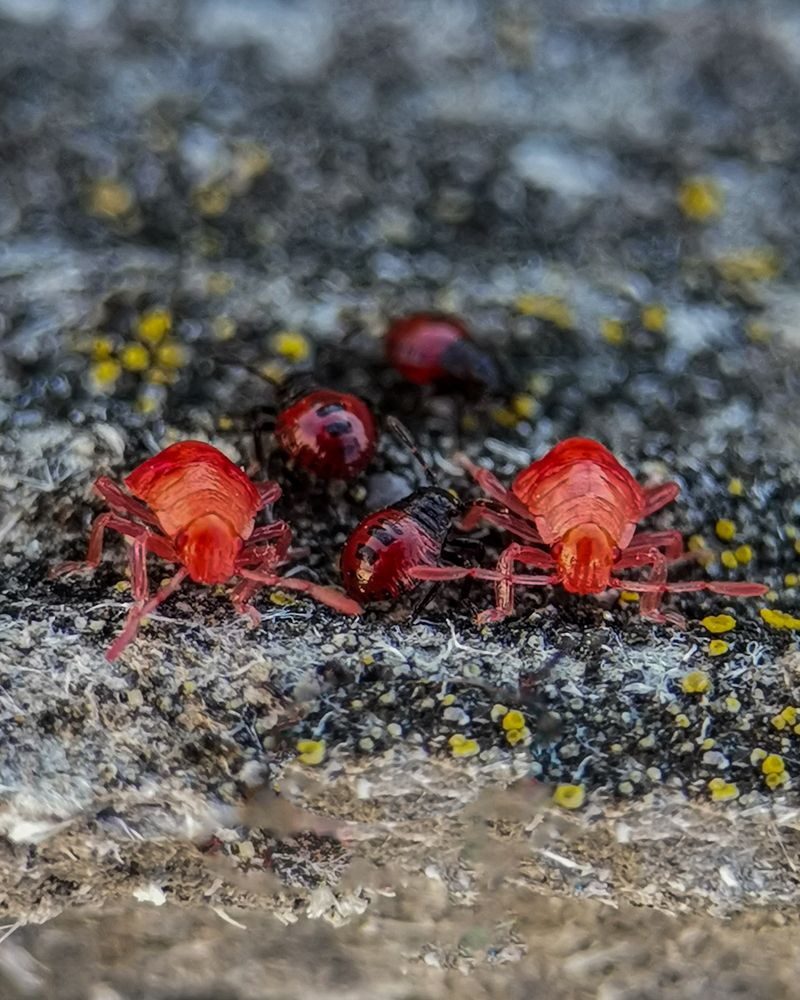 Photograph by Наталья Балабанова