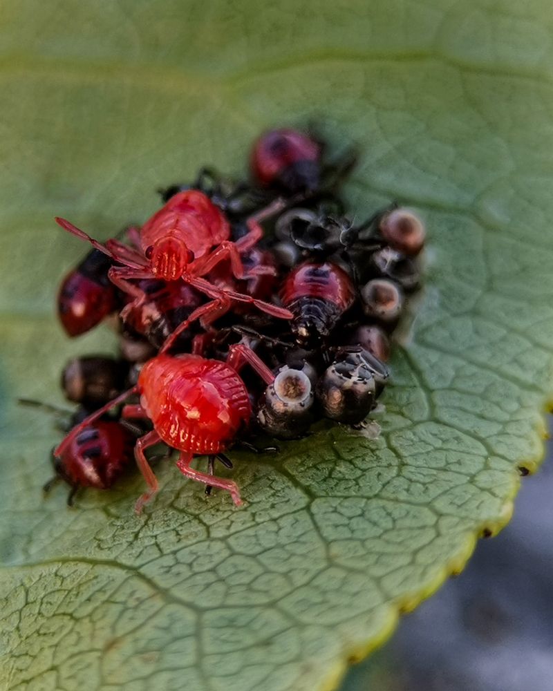 Photograph by Наталья Балабанова