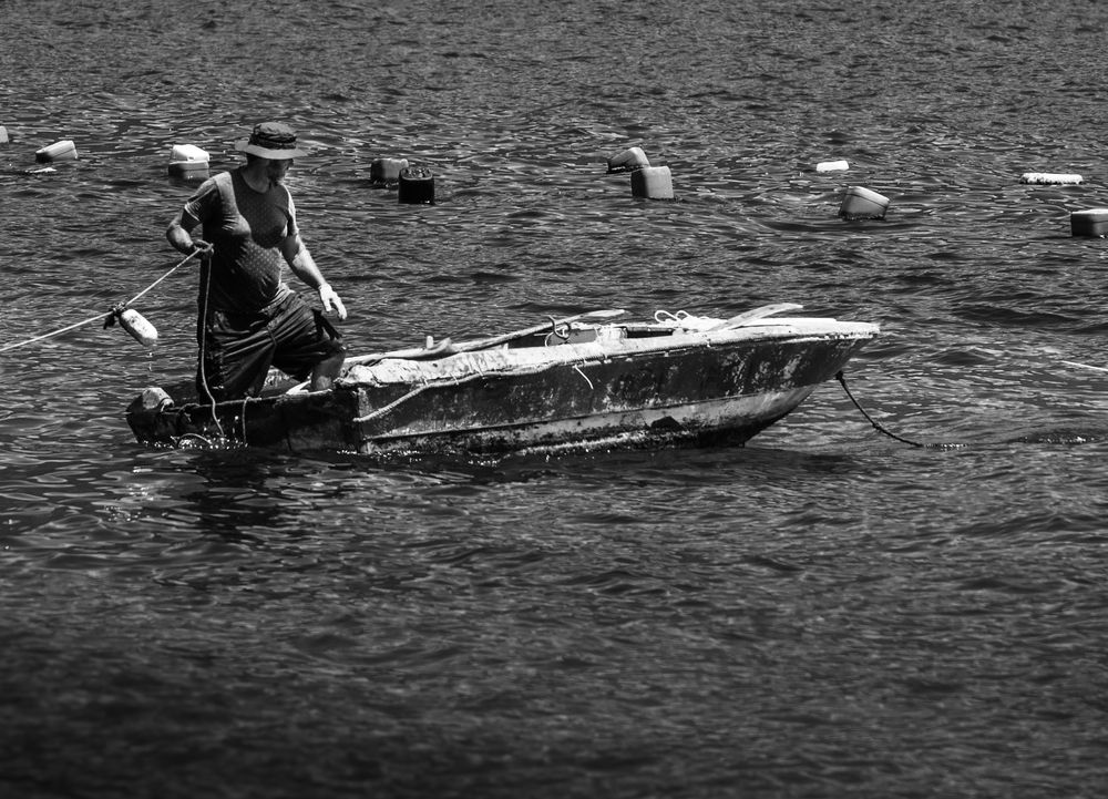 Photograph by Анна Стрелковская