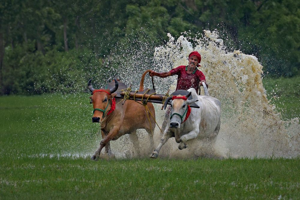 Photograph by Shibram Nag