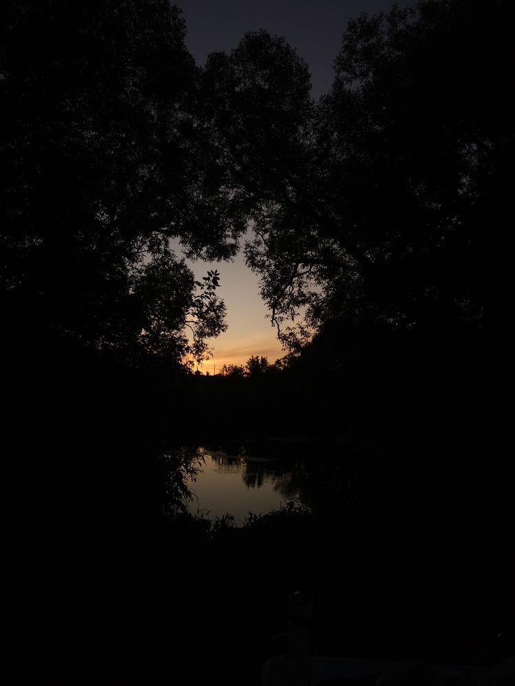 Фотография автора Екатерина Проплеткина