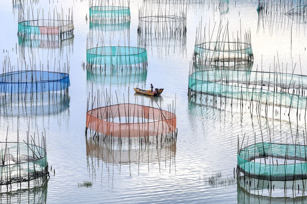 Fisherman among “Circle fishing nets”