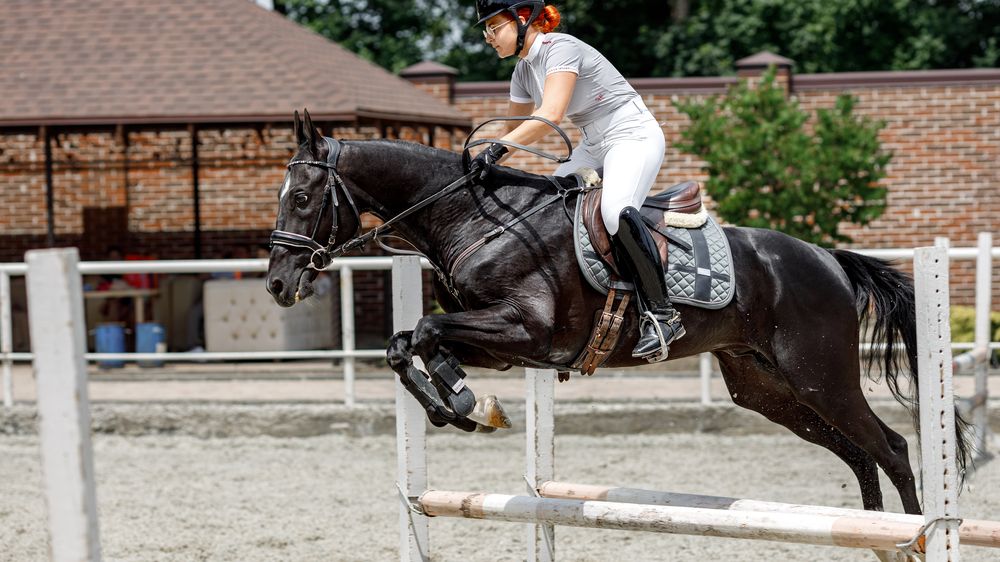 Photograph by Дмитрий Казачек