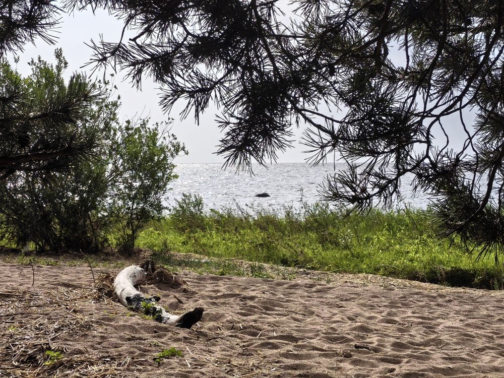 Photograph by Olga Kot