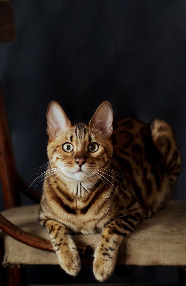 Photograph by Екатерина Слесарева