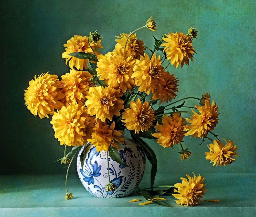 Photograph by Elena Novikova