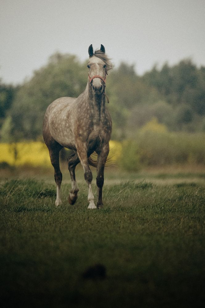 Photograph by Мария Лавриненко