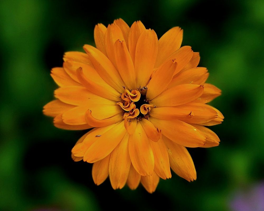 Photograph by Андрей Безгин