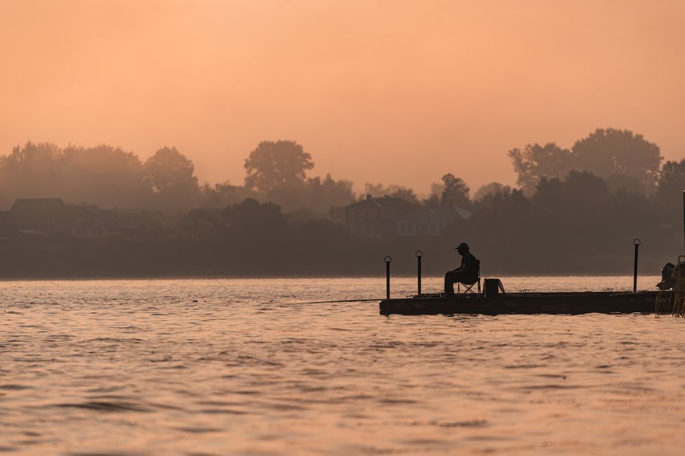 Photograph by Алексей Чеботарев