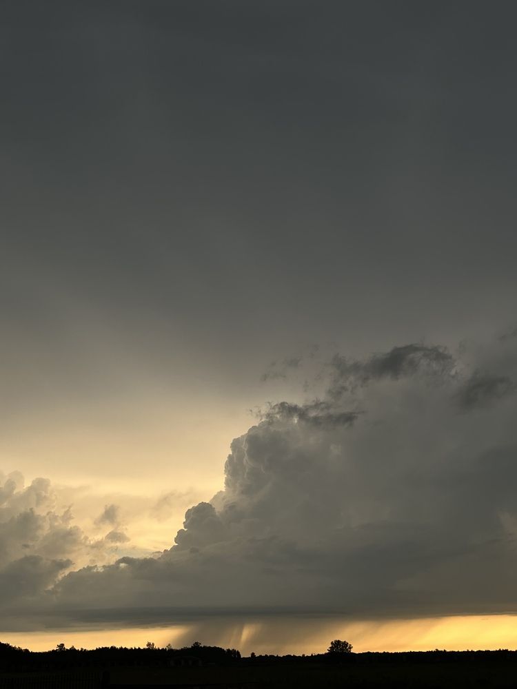 Photograph by Oksana